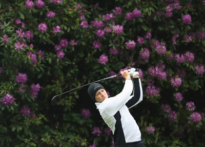 Matthew Fitzpatrick posters