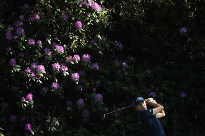 Matthew Fitzpatrick posters