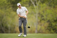 Matthew Fitzpatrick Sweatshirt #3495233