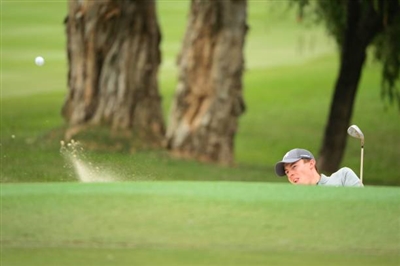 Matthew Fitzpatrick posters