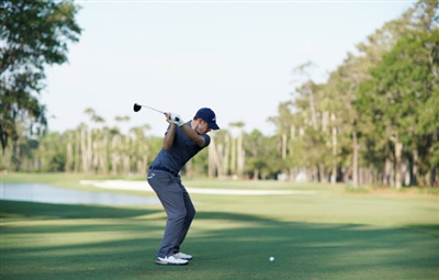 Matthew Fitzpatrick posters