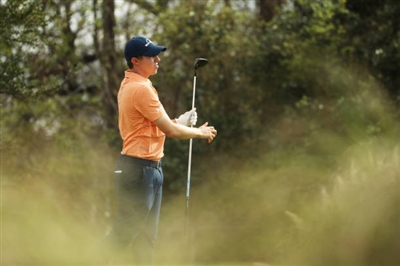 Matthew Fitzpatrick posters