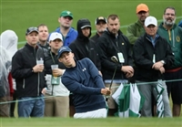 Matthew Fitzpatrick hoodie #3495252