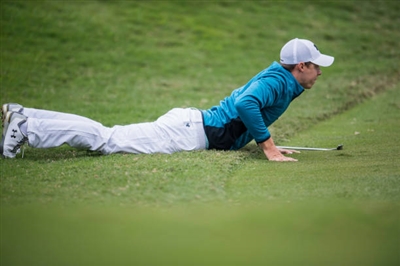 Matthew Fitzpatrick posters