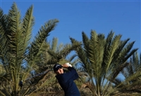 Matthew Fitzpatrick Sweatshirt #3495286