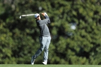 Matthew Fitzpatrick Sweatshirt #3495337