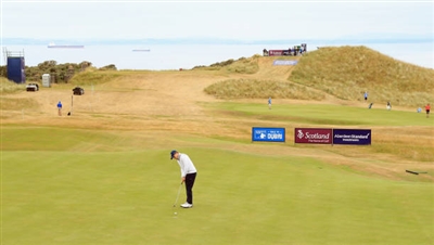 Matthew Fitzpatrick posters