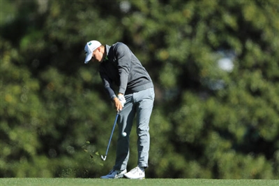 Matthew Fitzpatrick posters