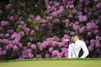 Matthew Fitzpatrick mug #G1737613