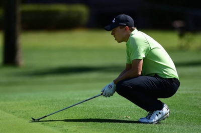 Matthew Fitzpatrick posters