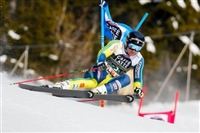 Matts Olsson Sweatshirt #3652158