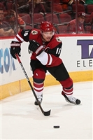 Max Domi mug #G1820903