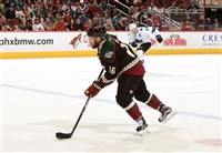 Max Domi Sweatshirt #3578682