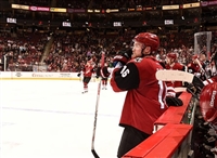 Max Domi tote bag #G1820930