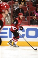 Max Domi hoodie #3578705