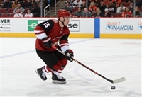 Max Domi hoodie #3578709