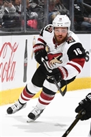 Max Domi hoodie #3578728