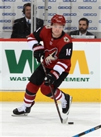 Max Domi hoodie #3578740