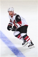 Max Domi hoodie #3578798