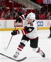 Max Domi mug #G1821071