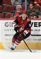 Max Domi hoodie #3578854