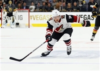 Max Domi mug #G1821089