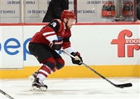 Max Domi mug #G1821096