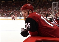 Max Domi hoodie #3578870