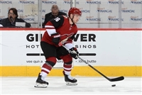 Max Domi mug #G1821102