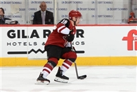 Max Domi hoodie #3578902