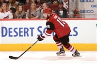 Max Domi hoodie #3578909