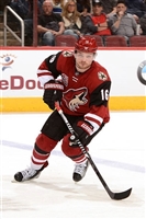 Max Domi hoodie #3578922
