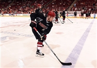 Max Domi hoodie #3578928