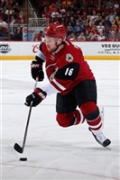 Max Domi hoodie #3578937