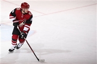 Max Domi hoodie #3578942