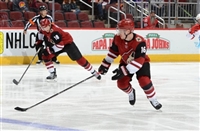 Max Domi hoodie #3578949