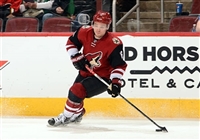 Max Domi hoodie #3578950