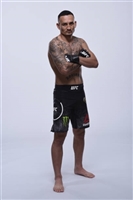 Max Holloway mug #G1764210
