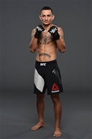Max Holloway magic mug #G1764223