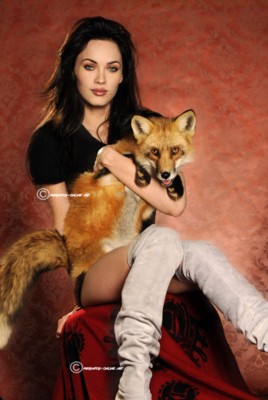 Megan Fox Poster 1522280