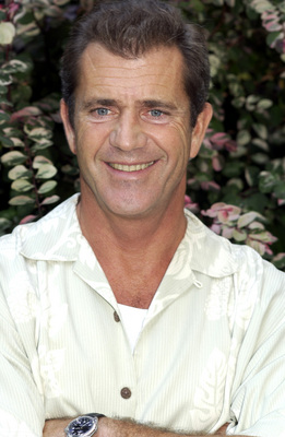 Mel Gibson puzzle 2268597