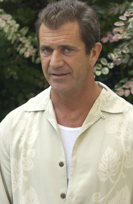 Mel Gibson puzzle 2268599