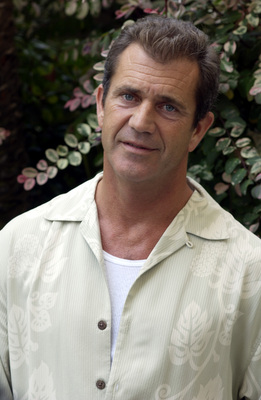 Mel Gibson puzzle 2389356