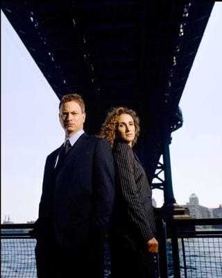 Melina Kanakaredes posters