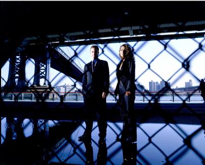 Melina Kanakaredes posters