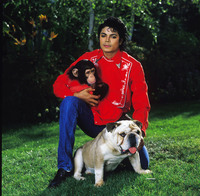 Michael Jackson t-shirt #1971736