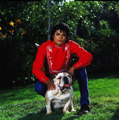 Michael Jackson Poster 1971749