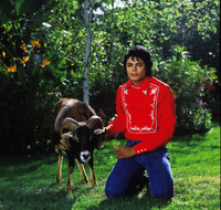 Michael Jackson Longsleeve T-shirt #1971750