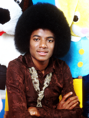 Michael Jackson puzzle 2109147