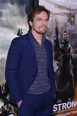 Michael Shannon posters